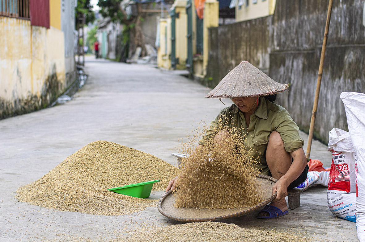 Vietnamese vrouw bonen filteren
